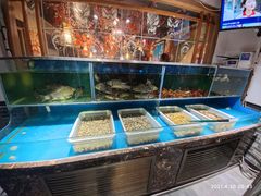 水产区-东大桥小国抻面烧烤(长通路店)