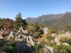 -千岛湖石林
