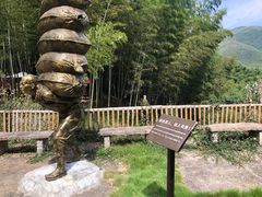 -宁波浙东大竹海景区