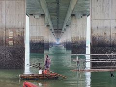 -海堤纪念公园