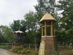 -永定河休闲森林公园