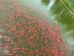 -西海子公园