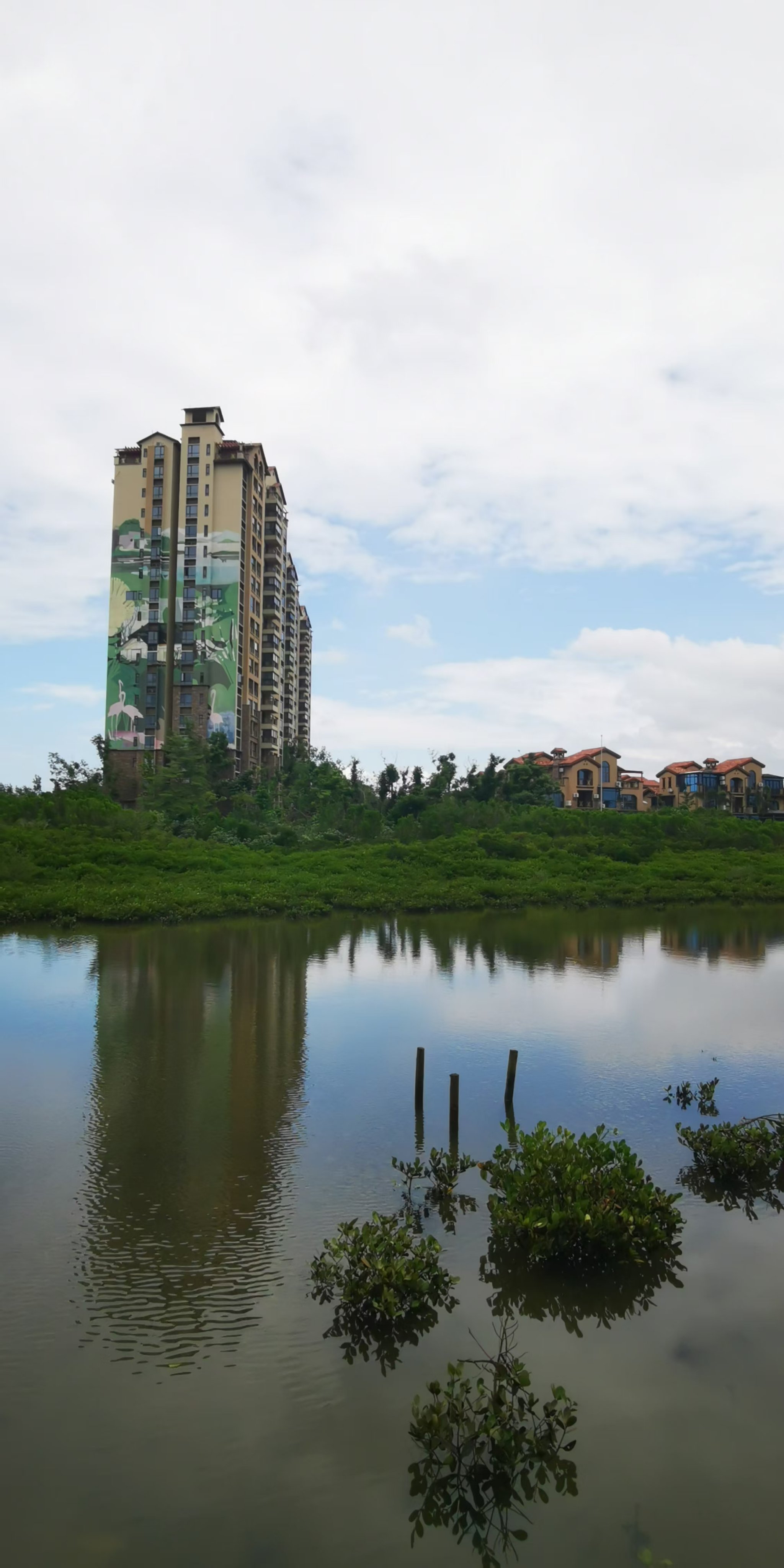 海南红树林湿地公园图片