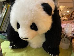 -轩客会(熊猫书店)