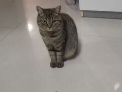 -美联众合24小时·皮肤科·外科·全科诊疗中心(华苑分院)