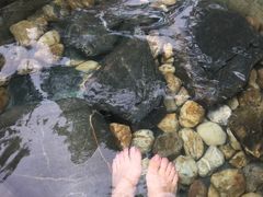 -森波拉火山温泉