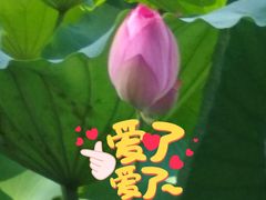 -潘塘公园