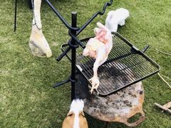 -前小桔亲子创意农场·草莓采摘·露营烧烤