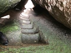 -六里坪国家森林公园