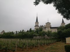 -北京张裕爱斐堡酒庄