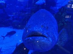 -成都浩海立方海洋公园