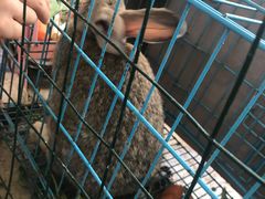 -新塘水果乐园(东洲大道店)