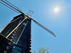 -昆山城市生态森林公园