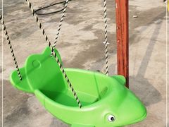 -东方巨龟苑景区