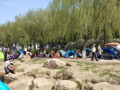 -丁香湖公园
