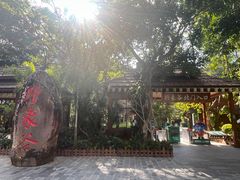 -野象谷景区