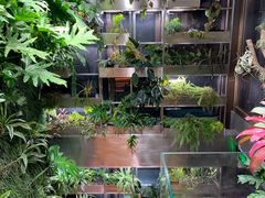 -森味薪火烧•烧鸟居酒屋•日本料理(望京店)
