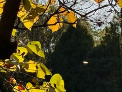 -森林公园(尖草坪区)