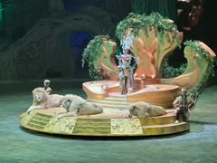 -广州长隆国际大马戏