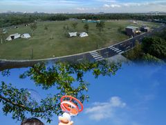 -春花秋色城市公园