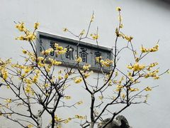 -海马体照相馆(上海宝山万达广场店)