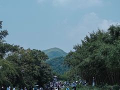 -莫干山风景区