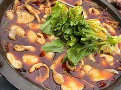 黑鱼-都江堰石锅鱼