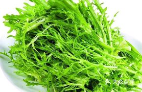 Bitter Lettuce
