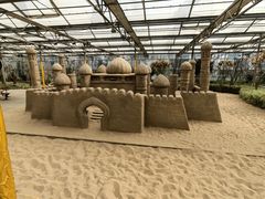 -南宫五洲植物乐园