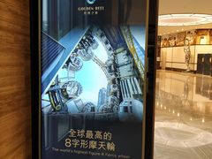 -影汇之星8字形摩天轮