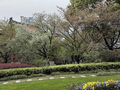 -阅江楼风景区