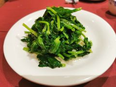 酒香豆苗-老吉士酒家(天平路店)
