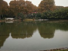 -河南省黄河迎宾馆