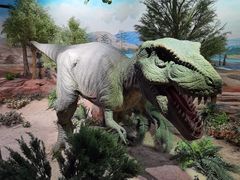 -国家自然博物馆