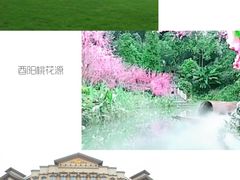 -武陵山森林公园