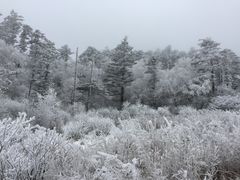 -秦岭风景区