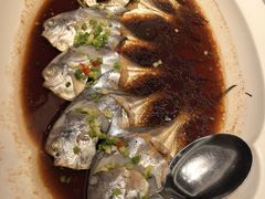 -龙宴海鲜城(经中路店)