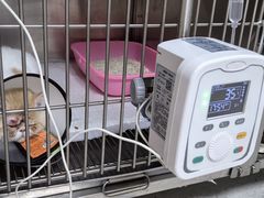 -畜牧兽医站(共江路店)