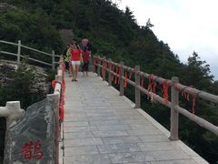 -牛背梁国家森林公园