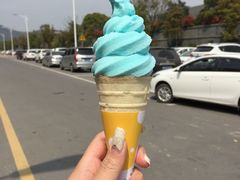 -太湖湖滨国家湿地公园-停车场