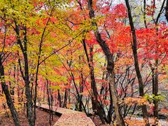 -关门山森林公园
