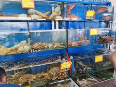 水产区-蚝专家(北滘店)