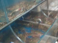 -宾朋海鲜特色美食餐厅·纯手工鲅鱼水饺(兴海路店)