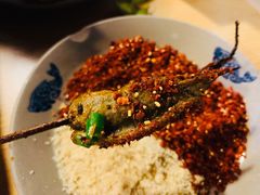 鳝鱼-晓靖轩烧烤(沙河风情店)