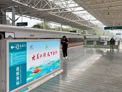-岳阳东站