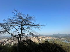 -风云岭森林公园