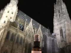 -斯蒂芬主教座堂(Stephansdom)