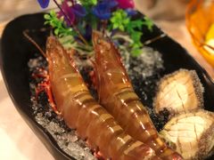 花竹虾-鲜入围煮花胶鸡海鲜火锅