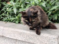 -荔湾湖公园