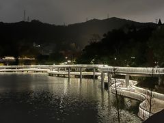 -银湖山郊野公园-相思林